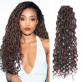 Ombre Wavy Goddess Faux Locs Crochet Tressage Cheveux